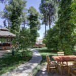 فضای بیرونی هتل جهانگردی شیراز