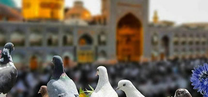 تور مشهد از اصفهان 3 شب و 4 روز