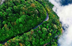 جاذبه های دیدنی گیلان